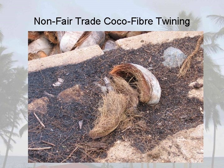 Non-Fair Trade Coco-Fibre Twining 