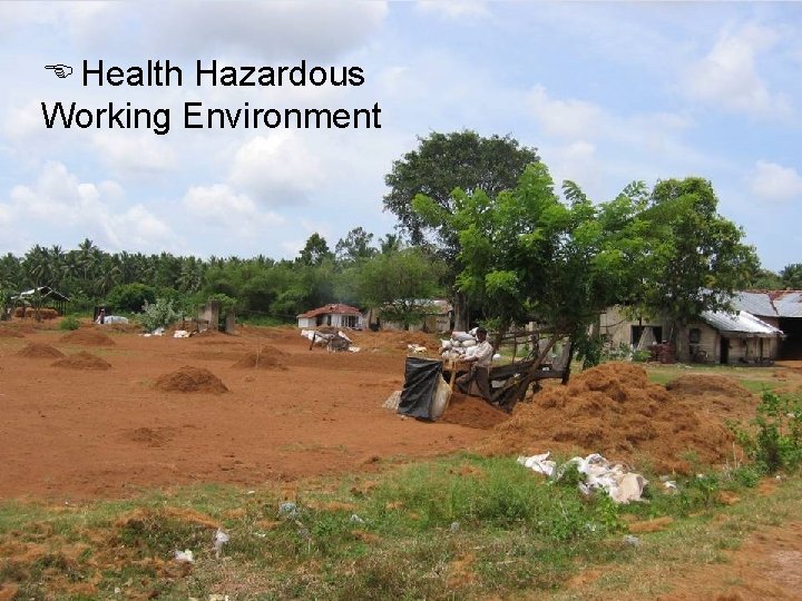  Health Hazardous Working Environment 