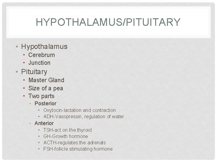 HYPOTHALAMUS/PITUITARY • Hypothalamus • Cerebrum • Junction • Pituitary • Master Gland • Size HYPOTHALAMUS/PITUITARY • Hypothalamus • Cerebrum • Junction • Pituitary • Master Gland • Size