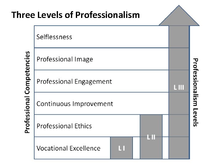 Three Levels of Professionalism 