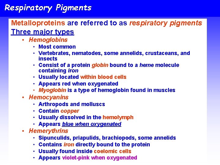 Respiratory Pigments Metalloproteins are referred to as respiratory pigments Three major types • Hemoglobins