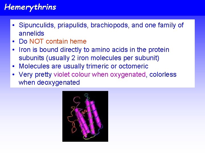 Hemerythrins • Sipunculids, priapulids, brachiopods, and one family of annelids • Do NOT contain