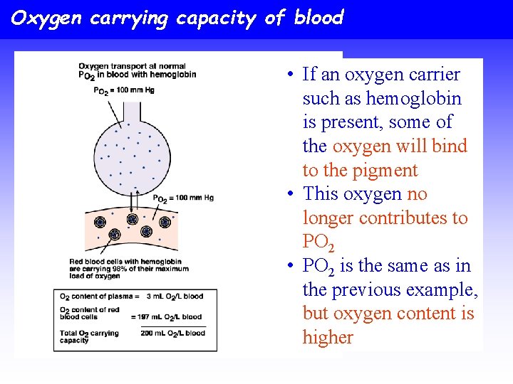 Oxygen carrying capacity of blood • If an oxygen carrier such as hemoglobin is