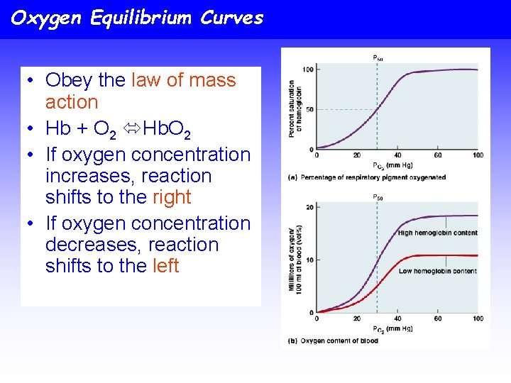 Oxygen Equilibrium Curves • Obey the law of mass action • Hb + O