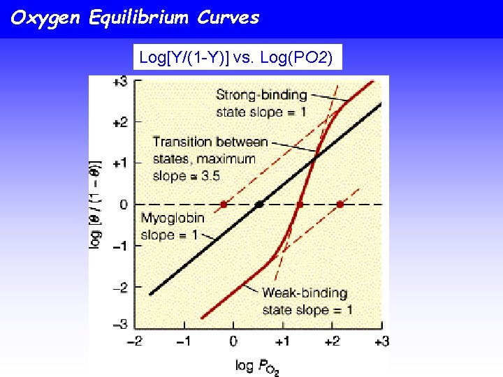 Oxygen Equilibrium Curves Log[Y/(1 -Y)] vs. Log(PO 2) 
