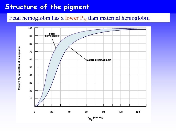 Structure of the pigment Fetal hemoglobin has a lower P 50 than maternal hemoglobin
