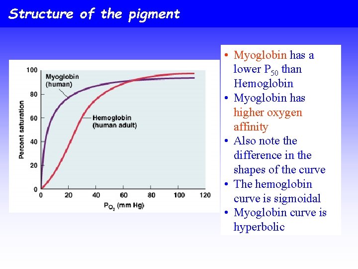 Structure of the pigment • Myoglobin has a lower P 50 than Hemoglobin •