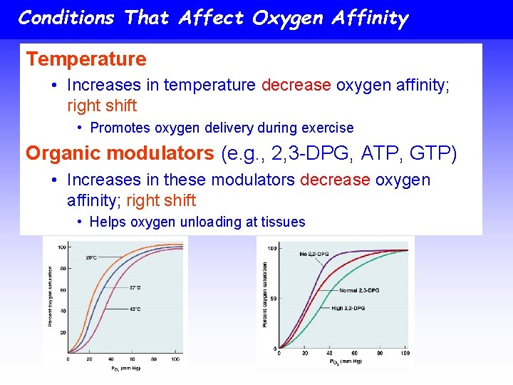 Conditions That Affect Oxygen Affinity Temperature • Increases in temperature decrease oxygen affinity; right