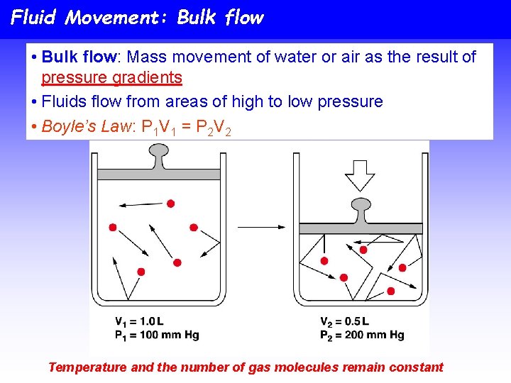 Fluid Movement: Bulk flow • Bulk flow: Mass movement of water or air as