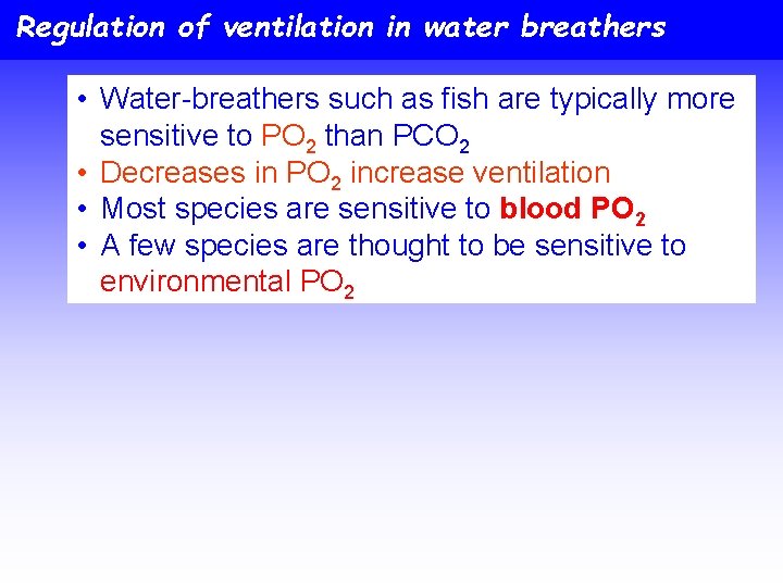 Regulation of ventilation in water breathers • Water-breathers such as fish are typically more