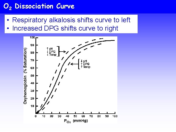 O 2 Dissociation Curve • Respiratory alkalosis shifts curve to left • Increased DPG