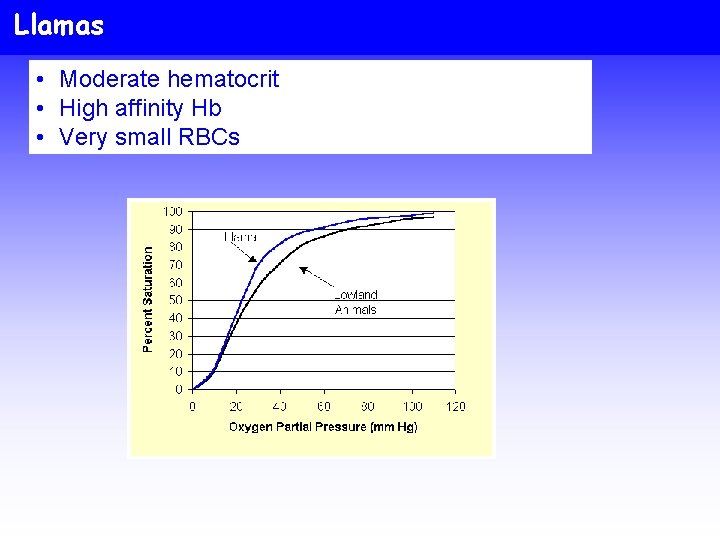Llamas • Moderate hematocrit • High affinity Hb • Very small RBCs 