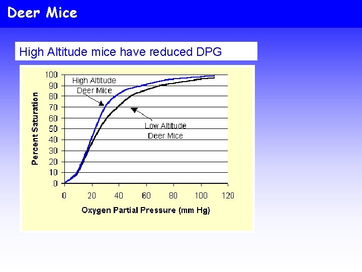 Deer Mice High Altitude mice have reduced DPG 