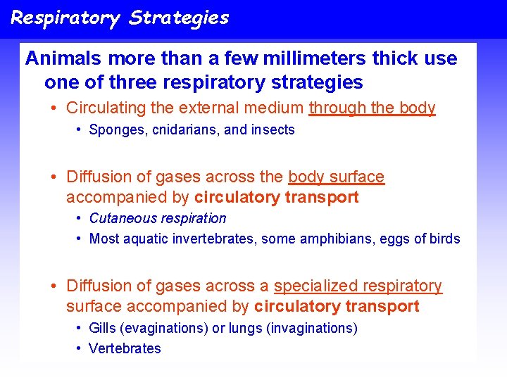 Respiratory Strategies Animals more than a few millimeters thick use one of three respiratory