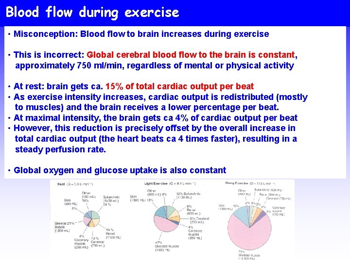 Blood flow during exercise • Misconception: Blood flow to brain increases during exercise •