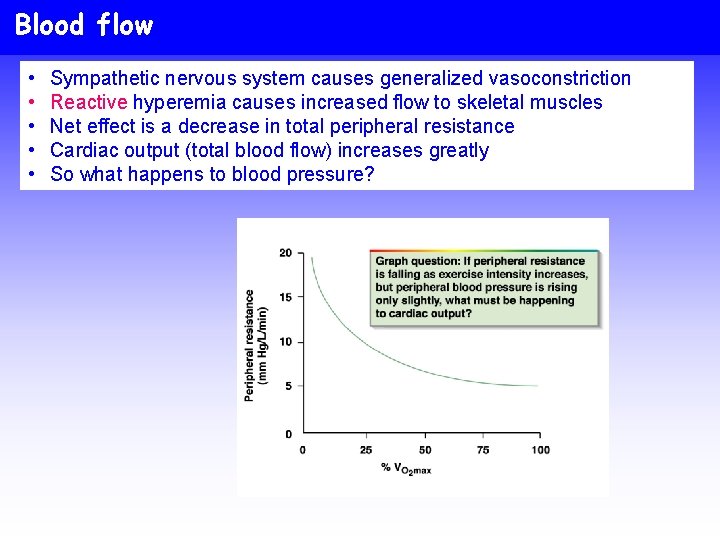 Blood flow • • • Sympathetic nervous system causes generalized vasoconstriction Reactive hyperemia causes