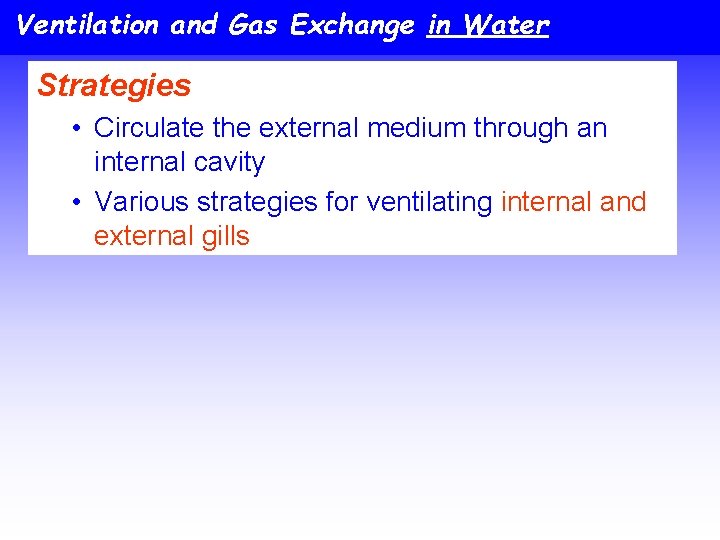 Ventilation and Gas Exchange in Water Strategies • Circulate the external medium through an
