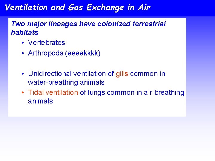 Ventilation and Gas Exchange in Air Two major lineages have colonized terrestrial habitats •