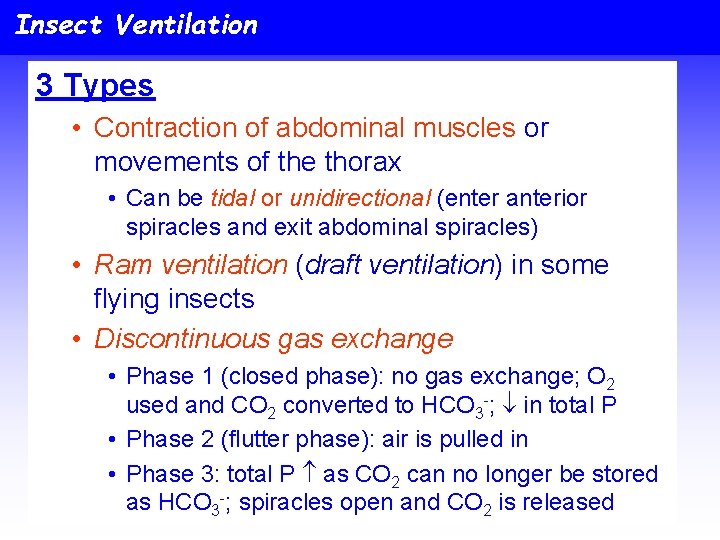 Insect Ventilation 3 Types • Contraction of abdominal muscles or movements of the thorax