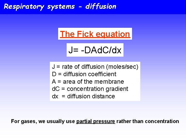 Respiratory systems - diffusion The Fick equation J= -DAd. C/dx J = rate of