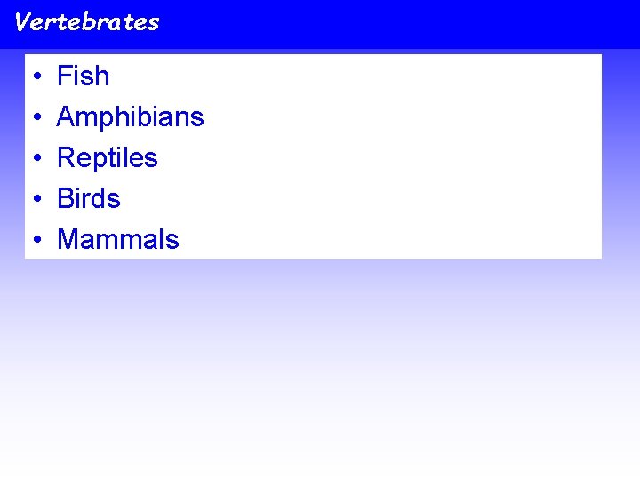Vertebrates • • • Fish Amphibians Reptiles Birds Mammals 