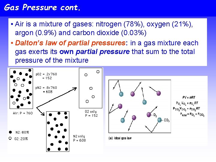 Gas Pressure cont. • Air is a mixture of gases: nitrogen (78%), oxygen (21%),