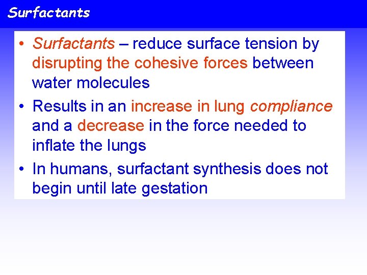 Surfactants • Surfactants – reduce surface tension by disrupting the cohesive forces between water