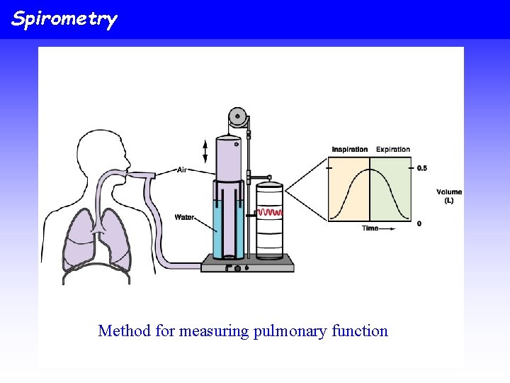 Spirometry Method for measuring pulmonary function 