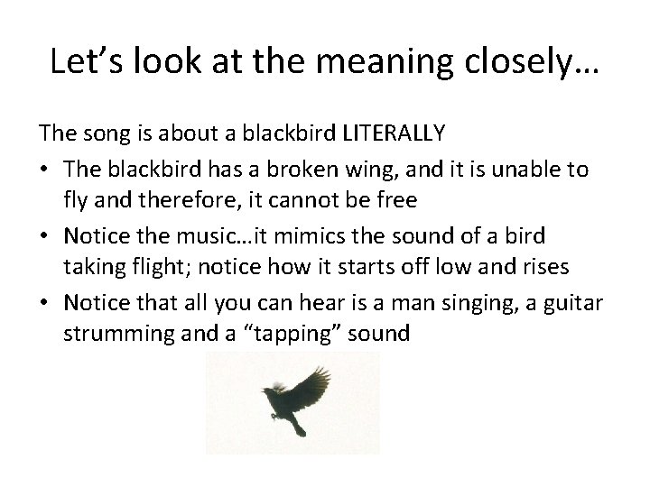 Blackbird Paul Mc Cartney And The Beatles The