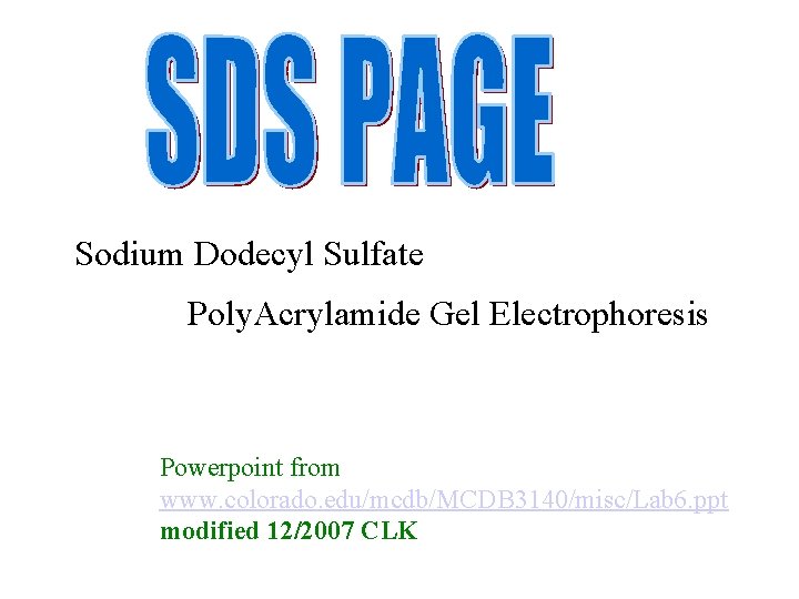 Sodium Dodecyl Sulfate Poly. Acrylamide Gel Electrophoresis Powerpoint from www. colorado. edu/mcdb/MCDB 3140/misc/Lab 6.