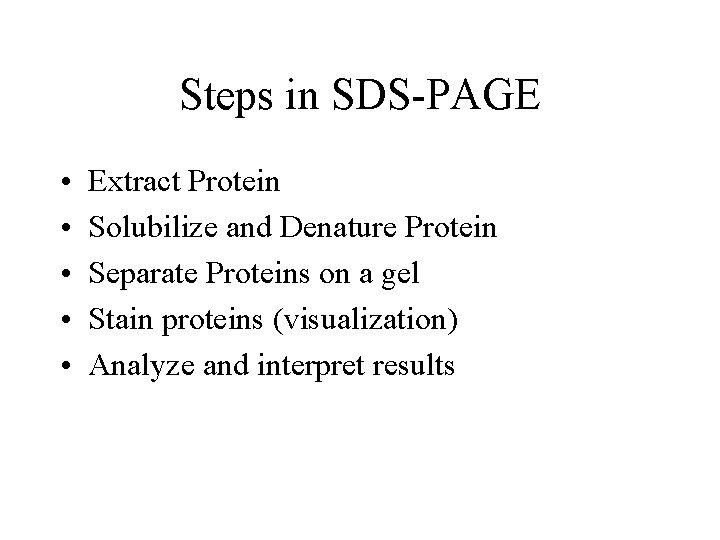 Steps in SDS-PAGE • • • Extract Protein Solubilize and Denature Protein Separate Proteins