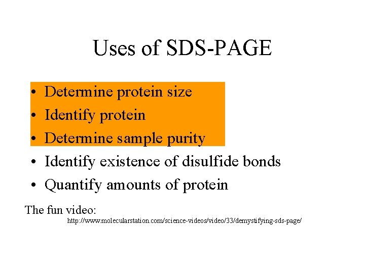 Uses of SDS-PAGE • • • Determine protein size Identify protein Determine sample purity