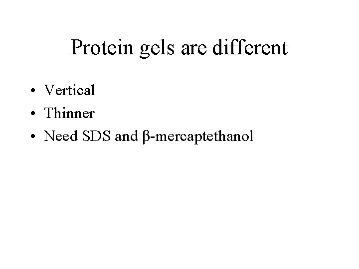 Protein gels are different • Vertical • Thinner • Need SDS and β-mercaptethanol 