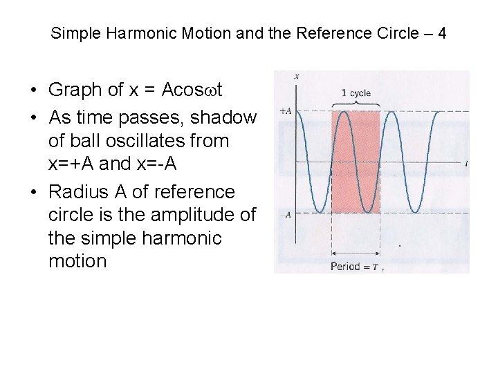 Simple Harmonic Motion and the Reference Circle – 4 • Graph of x =