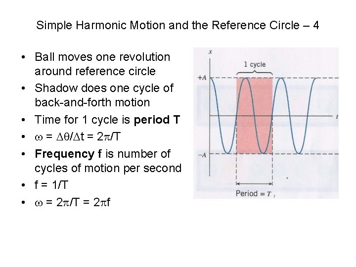 Simple Harmonic Motion and the Reference Circle – 4 • Ball moves one revolution
