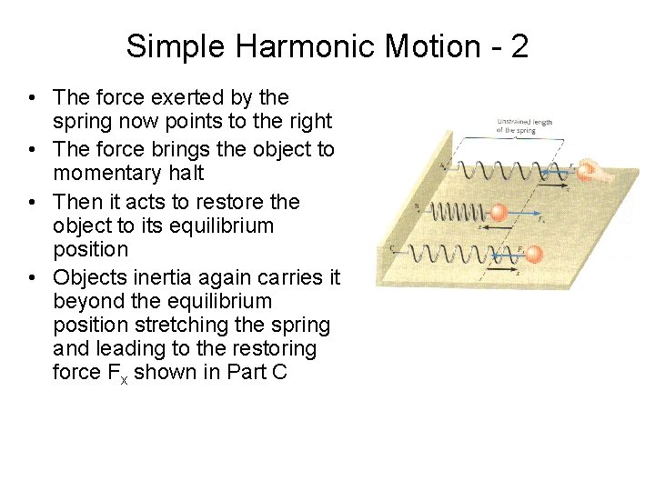 Simple Harmonic Motion - 2 • The force exerted by the spring now points