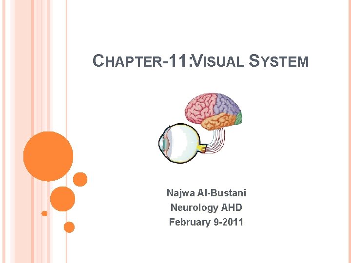 CHAPTER-11: VISUAL SYSTEM Najwa Al-Bustani Neurology AHD February 9 -2011 