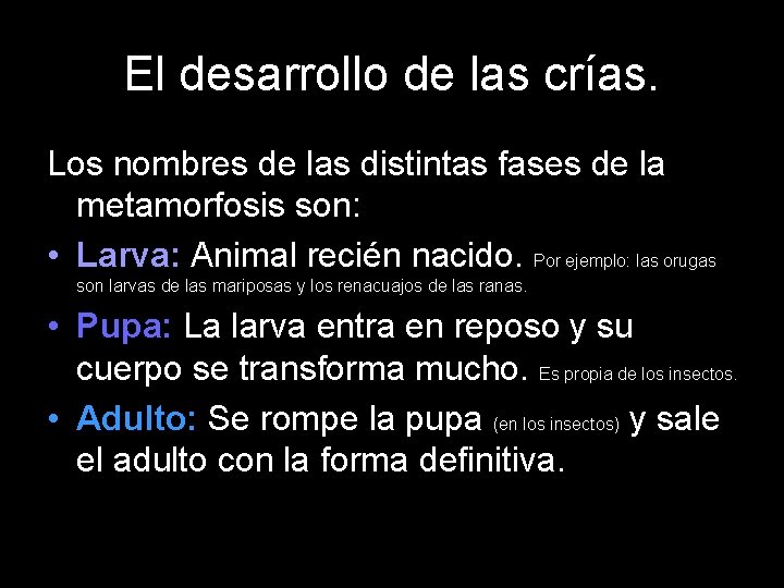 El desarrollo de las crías. Los nombres de las distintas fases de la metamorfosis