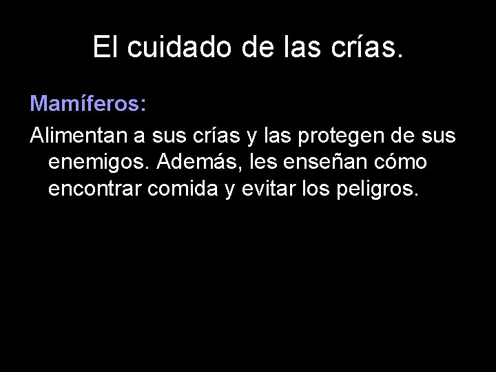 El cuidado de las crías. Mamíferos: Alimentan a sus crías y las protegen de
