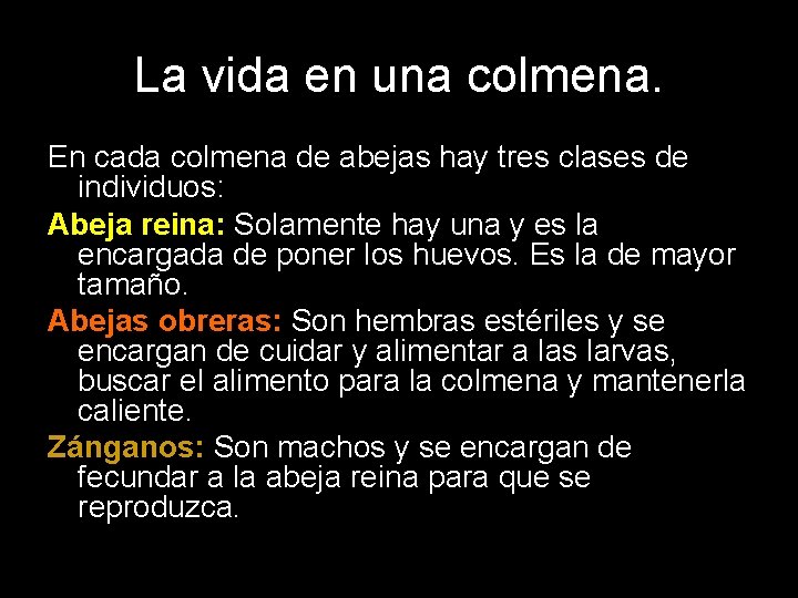 La vida en una colmena. En cada colmena de abejas hay tres clases de