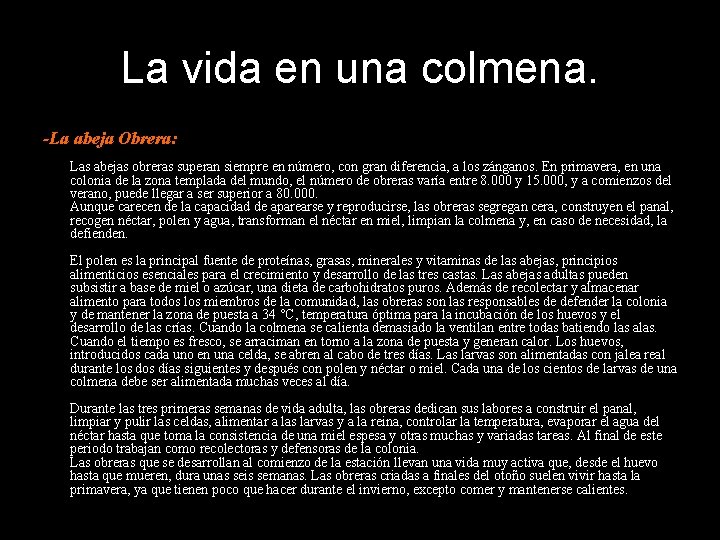 La vida en una colmena. -La abeja Obrera: Las abejas obreras superan siempre en