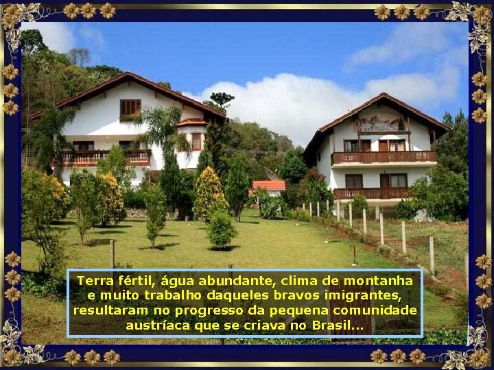 Terra fértil, água abundante, clima de montanha e muito trabalho daqueles bravos imigrantes, resultaram