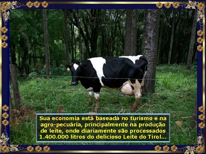 Sua economia está baseada no turismo e na agro-pecuária, principalmente na produção de leite,