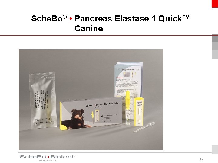 Sche. Bo® • Pancreas Elastase 1 Quick™ Canine 11 