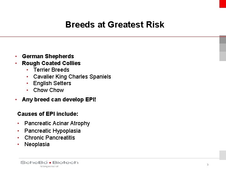 Breeds at Greatest Risk • German Shepherds • Rough Coated Collies • Terrier Breeds