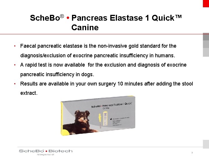 Sche. Bo® • Pancreas Elastase 1 Quick™ Canine • Faecal pancreatic elastase is the