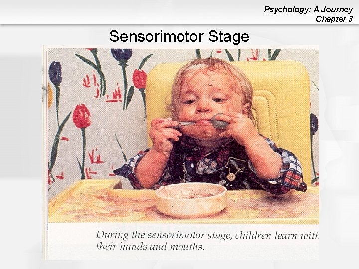 Psychology: A Journey Chapter 3 Sensorimotor Stage 