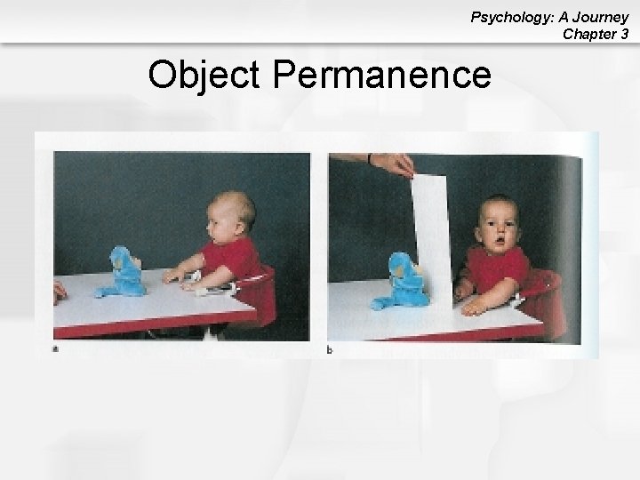 Psychology: A Journey Chapter 3 Object Permanence 