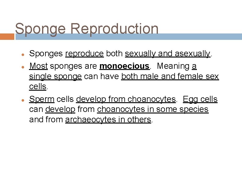 Sponge Reproduction Sponges reproduce both sexually and asexually. Most sponges are monoecious. Meaning a