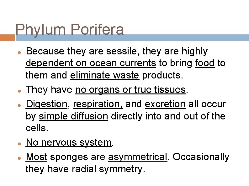 Phylum Porifera Because they are sessile, they are highly dependent on ocean currents to
